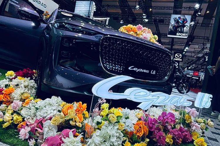 Lindungi Industri Lokal, Jepang Injak Rem Insentif EV China