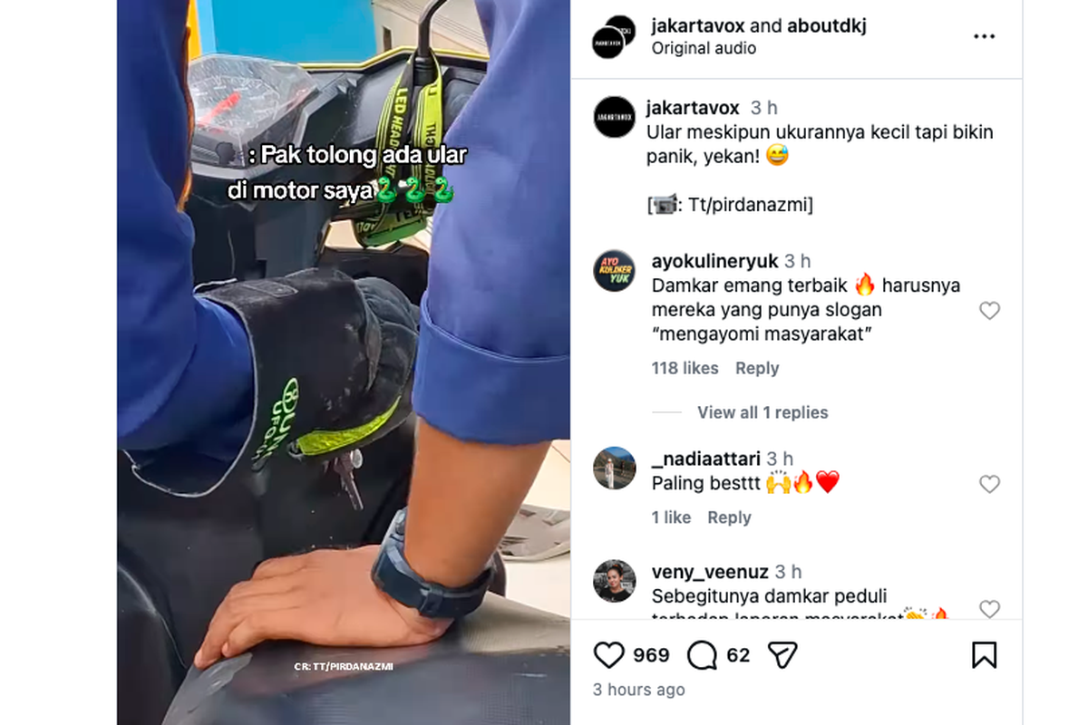 Video Ular Sembunyi di Motor, Kenapa Ular Suka Masuk ke Kendaraan?