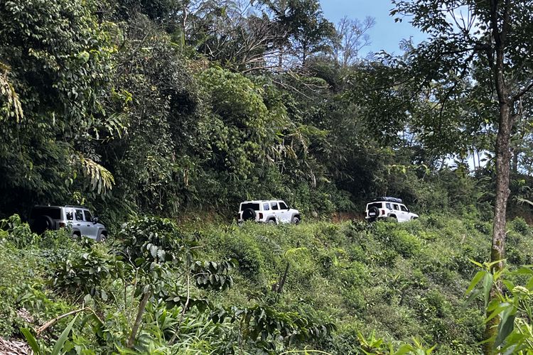 Beda Transmisi 2H, 4H dan 4L di Mobil 4X4