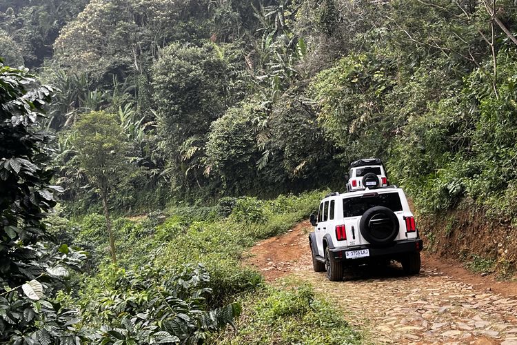 Beda Transmisi 2H, 4H dan 4L di Mobil 4X4