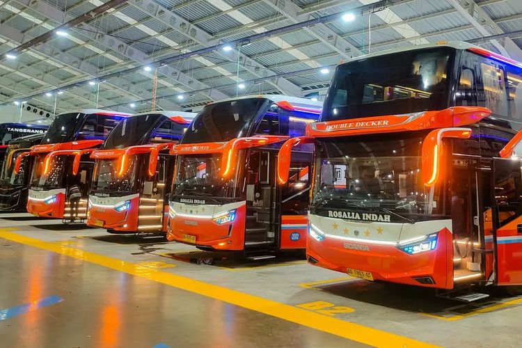 Cerita Penumpang Bus Rosalia Indah Keluhkan Kecoa dan Izin Bus