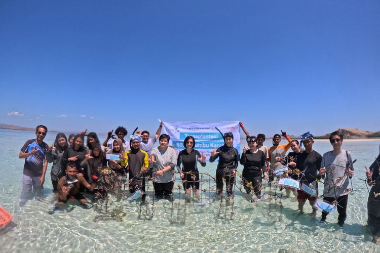 Mpmx Tanam 500 Terumbu Karang di Pulau Messah Labuan Bajo