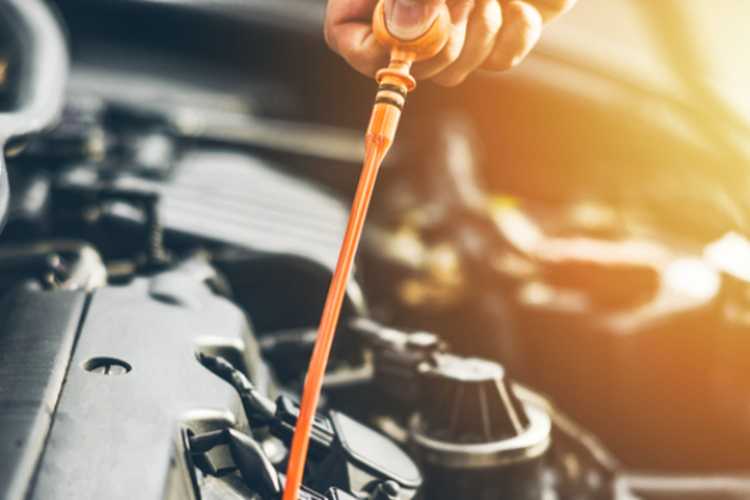 Tak Perlu ke Bengkel, Begini Cara Mudah Cek Oli Mobil Sendiri