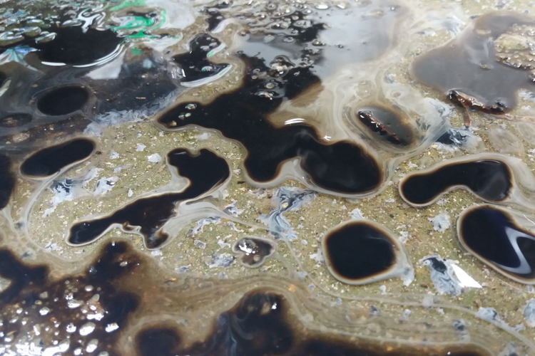 Waspadai Oli Mobil Berubah Warna Setelah Menerobos Banjir