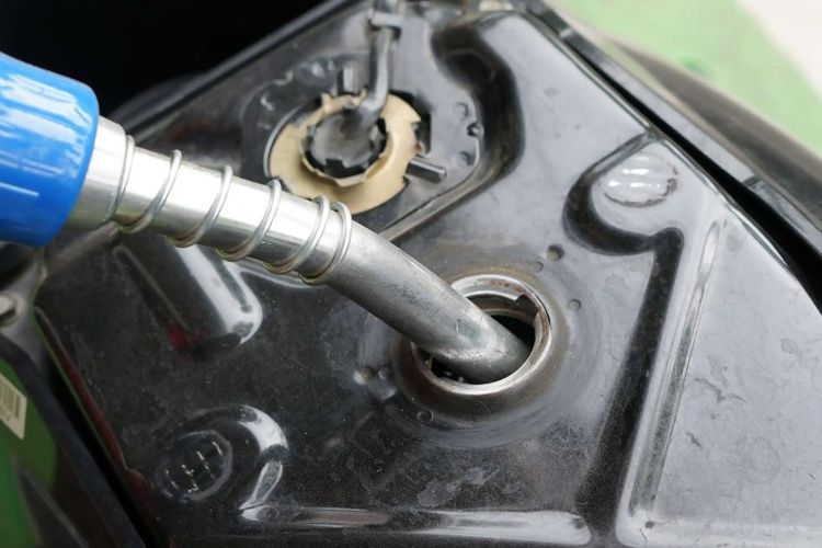 Apakah Minyak Kayu Putih Bisa Menghemat BBM? Ini Penjelasan Ahli