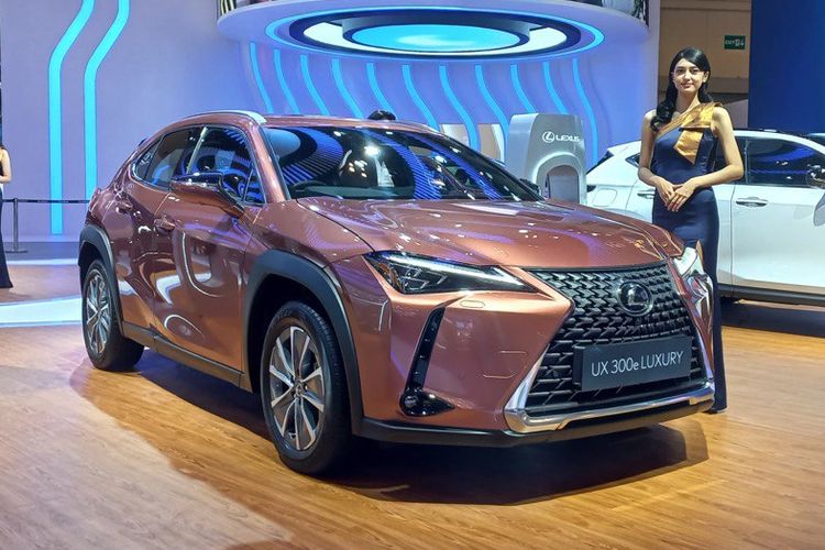 Harga Mobil Listrik Bekas Juni 2025, Ioniq mulai Rp 350 Juta
