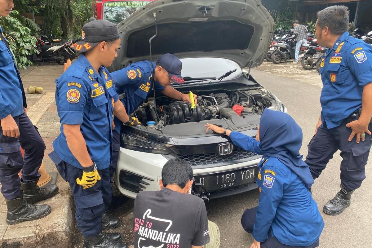 Pengendara Motor Temukan Anak Kucing di Ruang Mesin Mobil