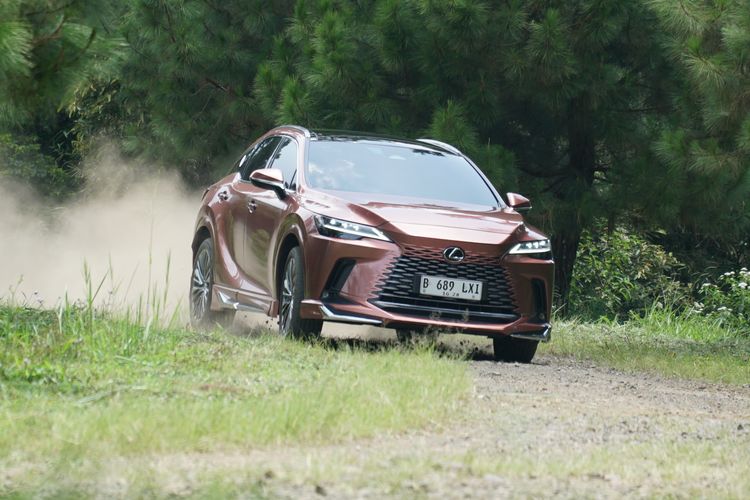 Daftar 15 Mobil Mewah Terlaris di Indonesia 2025, Denza D9 Teratas