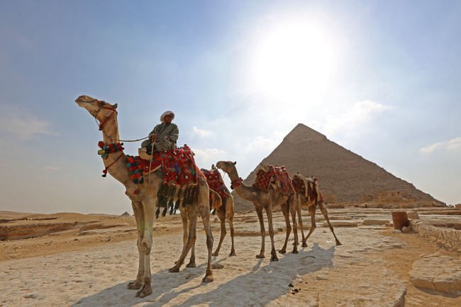 Tradisi Unik Idul Adha di Berbagai Negara, Indonesia Hingga Palestina