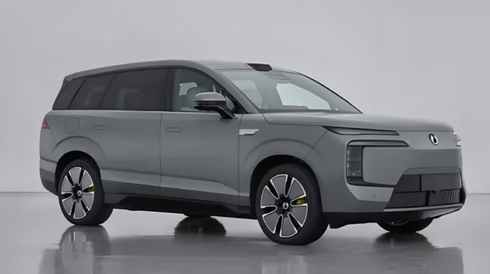 Denza Rilis SUV 6-Seater, Harga Mulai Rp 800 Jutaan