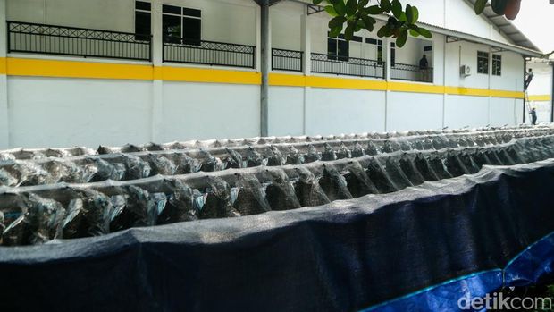 Dadan soal Motor MBG: Dulu Klaim di Bawah Harga, Ternyata Di-markup