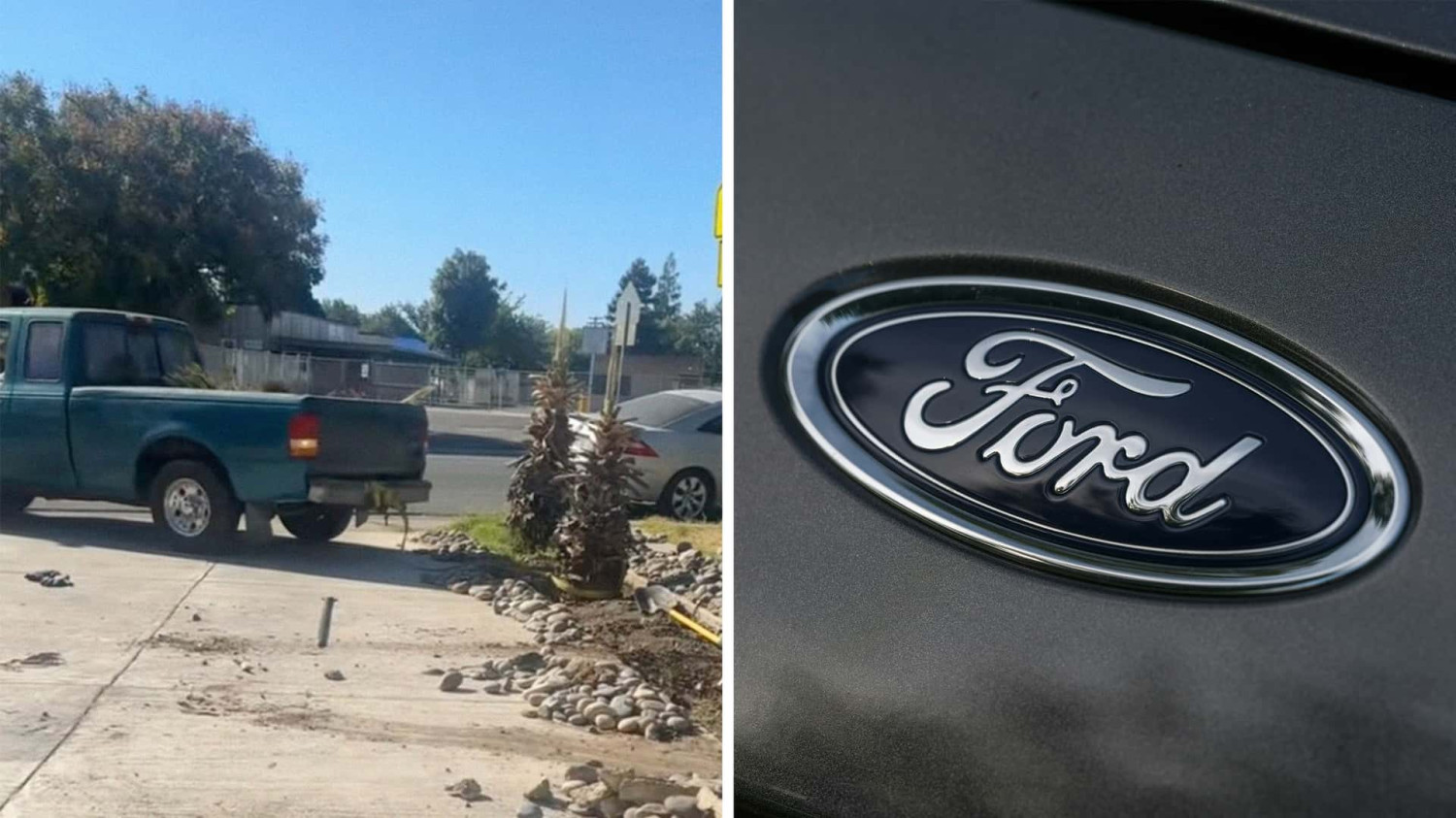 Ford, Ford Ranger, Man Says His Ford Ranger 'Can Do Anything:' Then He Tries to Pull a Tree Out of the Ground