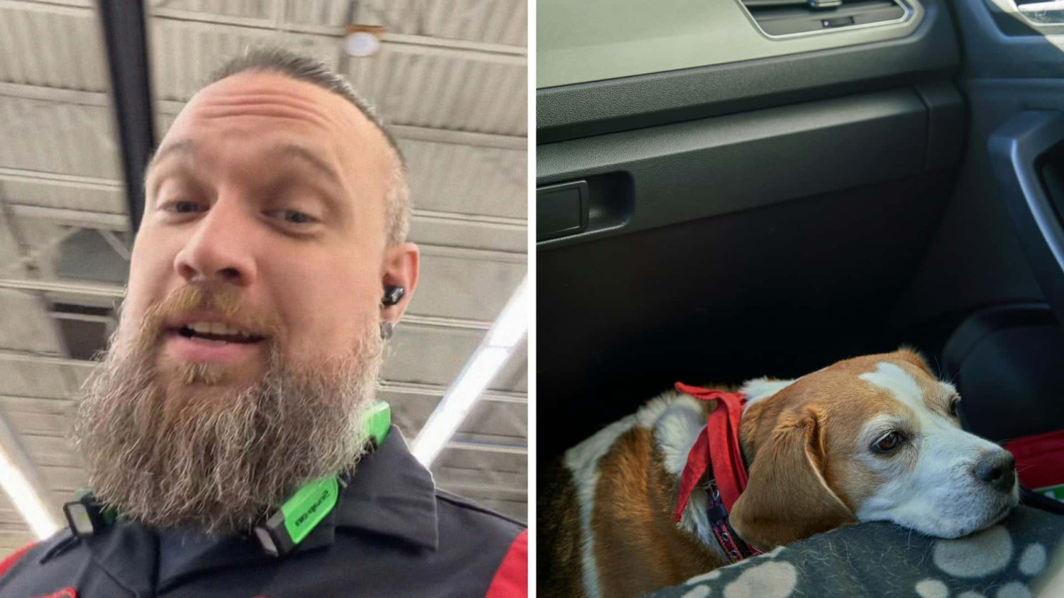Toyota, Toyota Tech Says Never Let Your Dog Explore Under Your Car Seat. Then He Reveals Just How Dangerous–And Costly—This Can Be