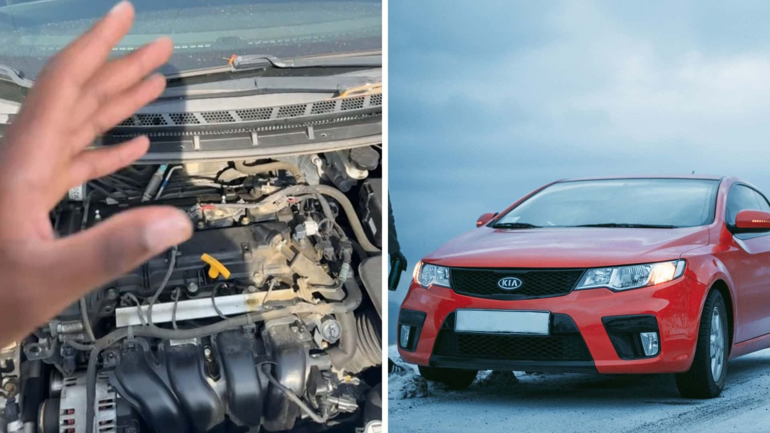 Kia, 'Somebody at the Auction Cut These Wires:' Man Buys 2017 Kia Forte at Auction Since It Was 'Running Good.' Then He Takes It Home
