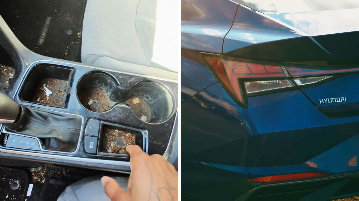 Hyundai, Man Hires Detailer To Clean Up Hyundai Elantra. Then He Looks Inside: ‘How Does It Get Like That?’