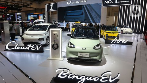 'Lumayan Tempur Juga', Konsumen Ini Sudah Pakai BinguoEV Tembus 11.000 Km