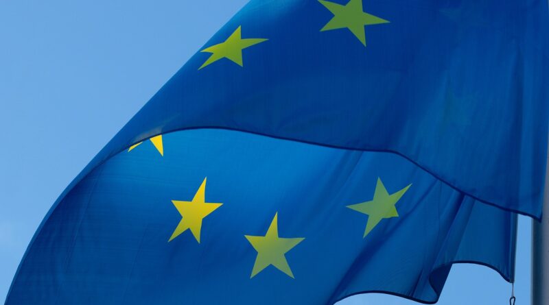 Making the European Competitiveness Fund the Backbone of a Green Industrial Strategy