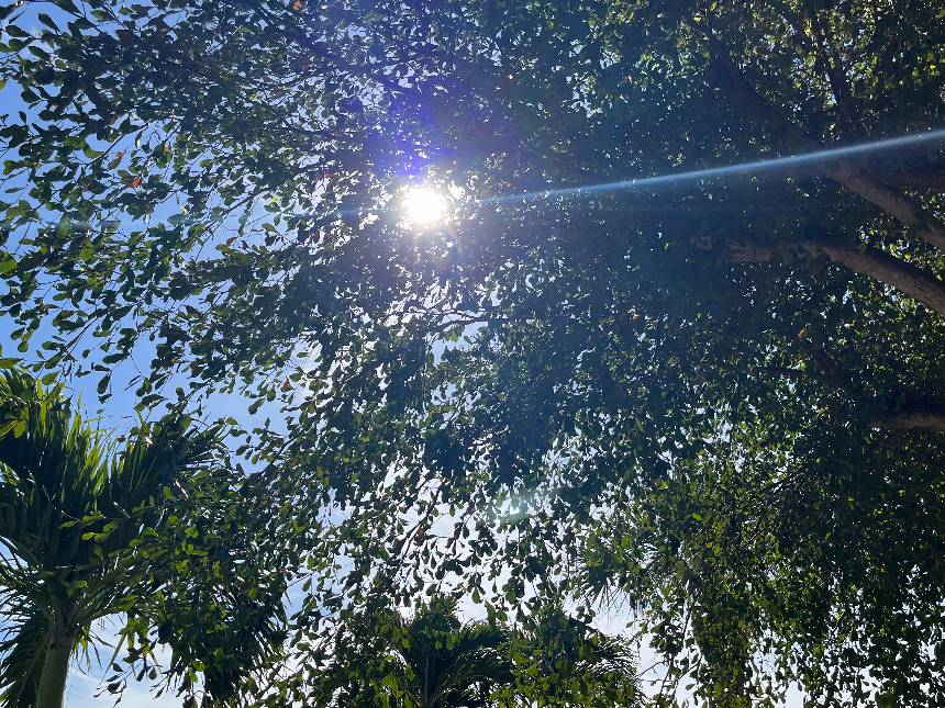 Fossil Fuels &amp; The Maslow Hierarchy Of Needs