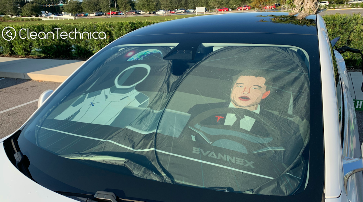 The Madness Of King Elon The First