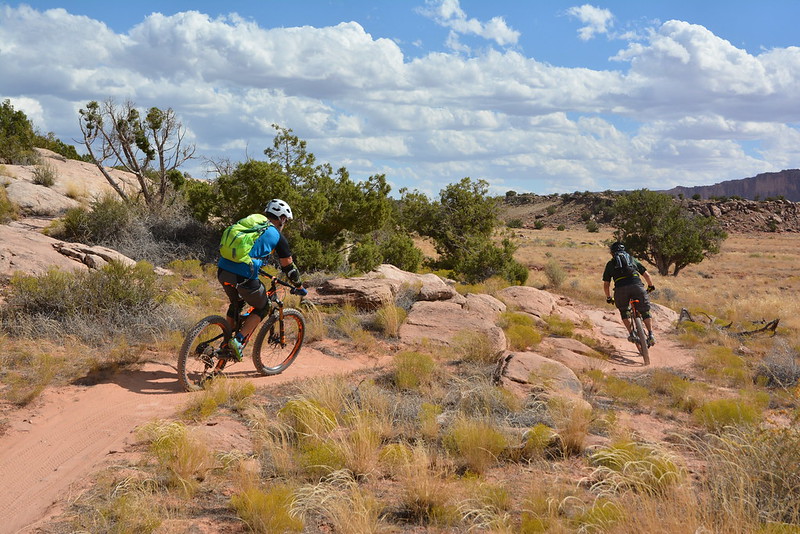 Sierra Club Statement on Vote to Confirm Steve Pearce to Run BLM