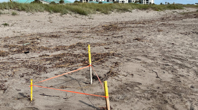 Take Out The Earbuds & Appreciate The Nature Around You!