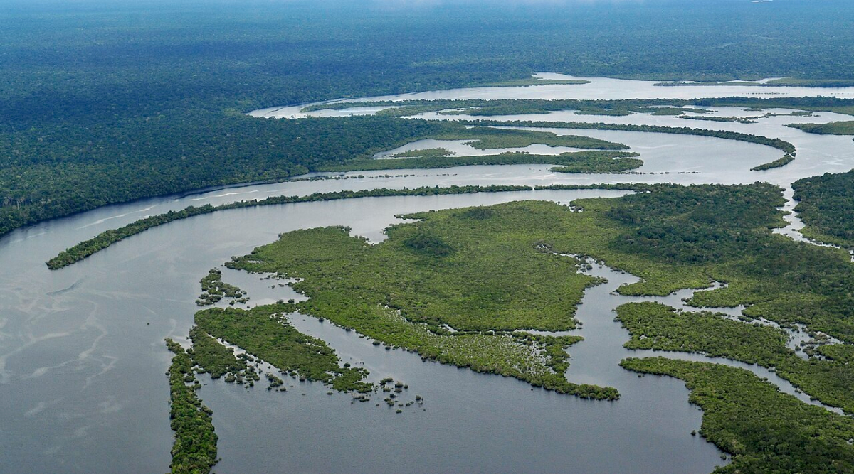 Swapping Out Diesel For Solar & Batteries In The Amazon Rainforest