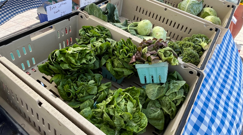 We Can Create Food Systems That Enhance Human &amp; Planetary Health