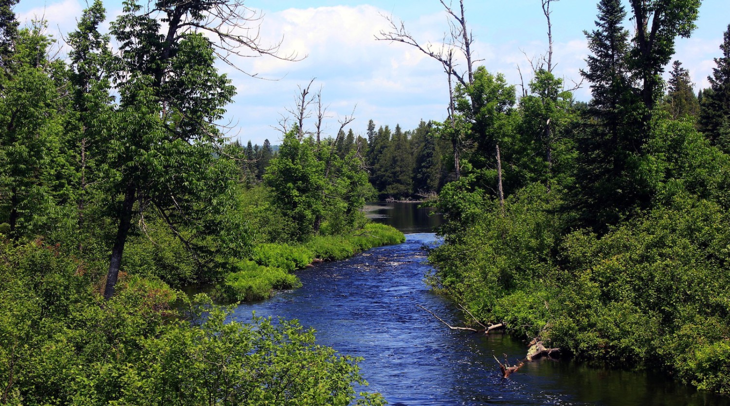Trump Approves Toxic Mining on Doorstep of Boundary Waters