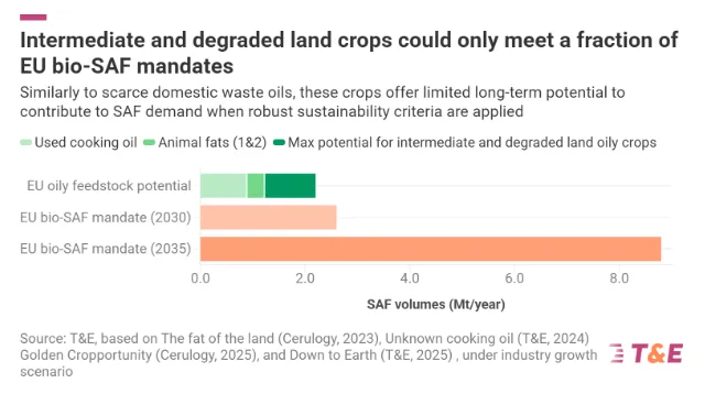 Intermediate &amp; Degraded Land Crops No “Miracle” Solution for SAF, New Study Shows