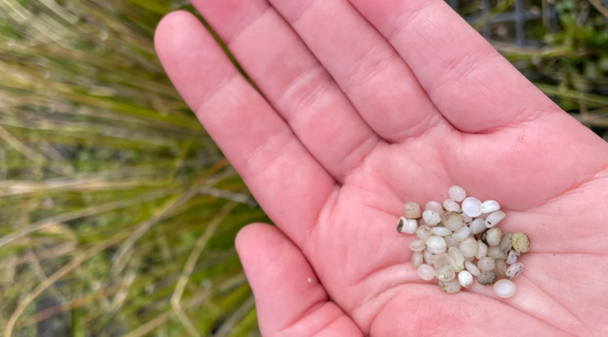 Illinois First Great Lakes State To Enact Plastic Pellet Pollution Law