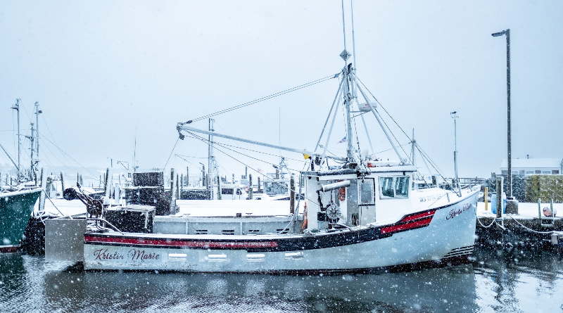 The New England Fishing Industry Is Helping Scientists To Understand Ocean Changes