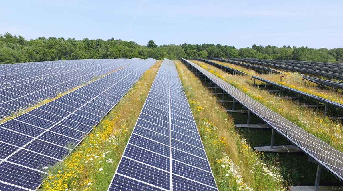 Coal Pollution Hurts Solar Panels, Just Like Your Lungs