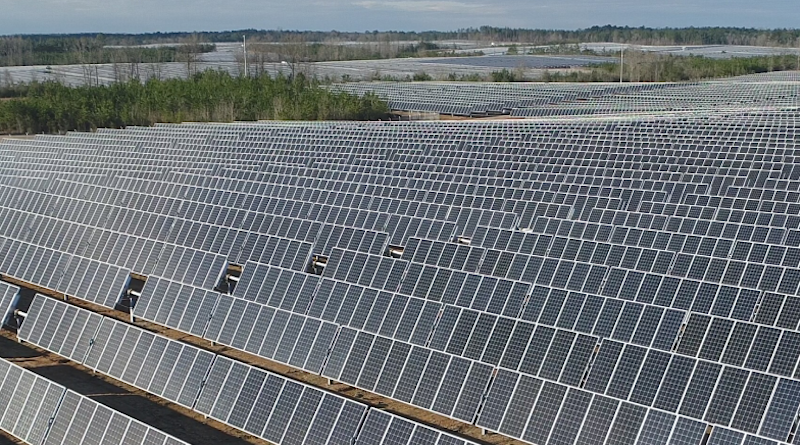 Trump Whacks Wind But Can’t Sack Solar Power