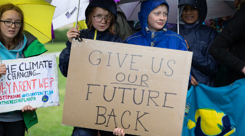 Do Our Individual Behaviors Speed Up Or Inhibit Collective Climate Action?