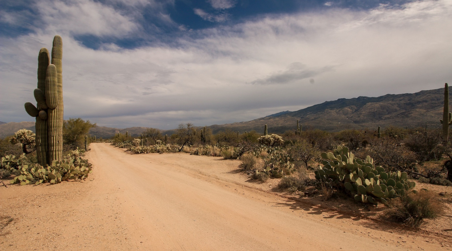 Thousands of Comments Shared with Governor Katie Hobbs Passionately Oppose Desert Southwest Gas Pipeline