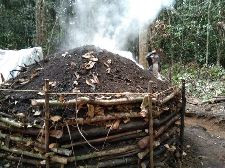 CarbonPH Coalition Charts Roadmap for Philippine Forest Carbon in ASEAN