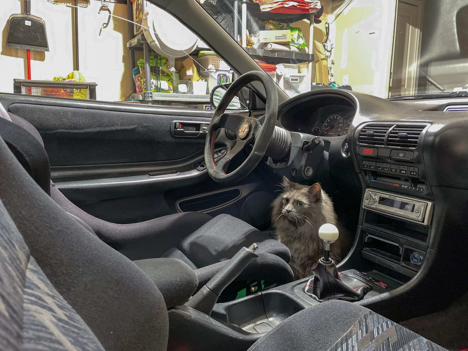 Meet the Animals Behind the Bylines at Car and Driver