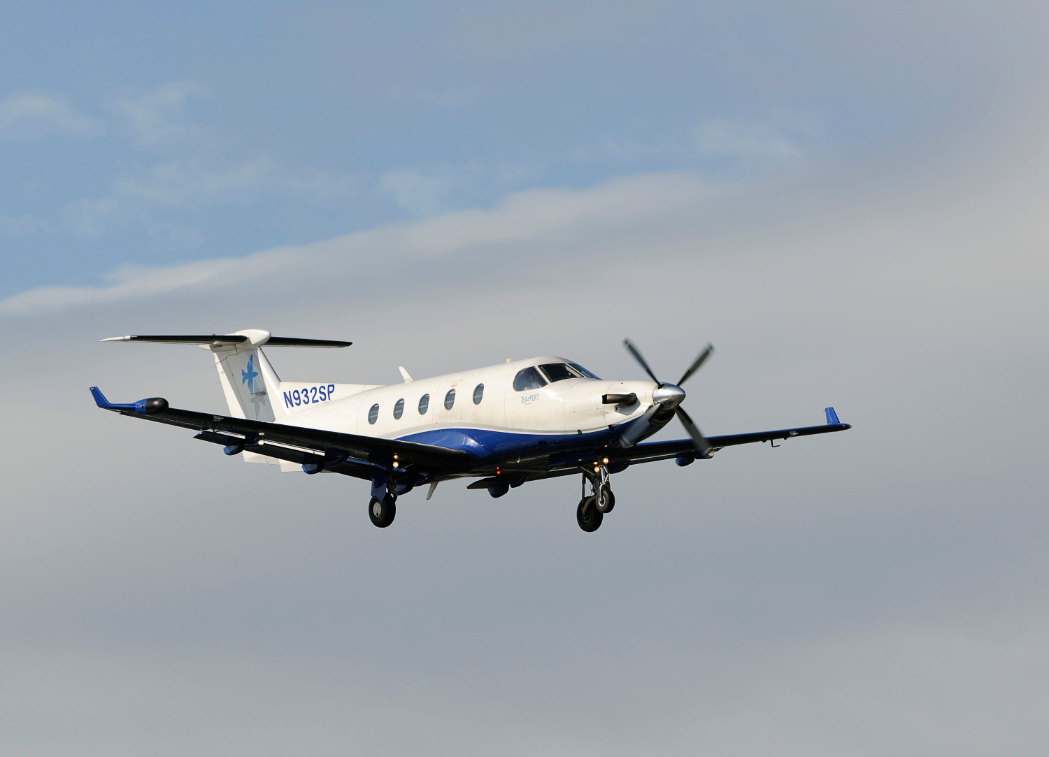 Ford Mustang-Driving Teen Fleeing N.H. State Police Crashes Into Plane: Cops