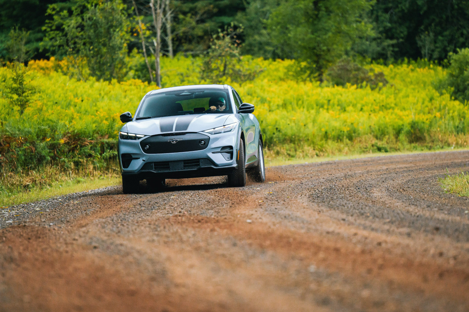 Ford Owes Customers a Share of $1.3 Billion in Tariff Refunds, Lawsuit Claims