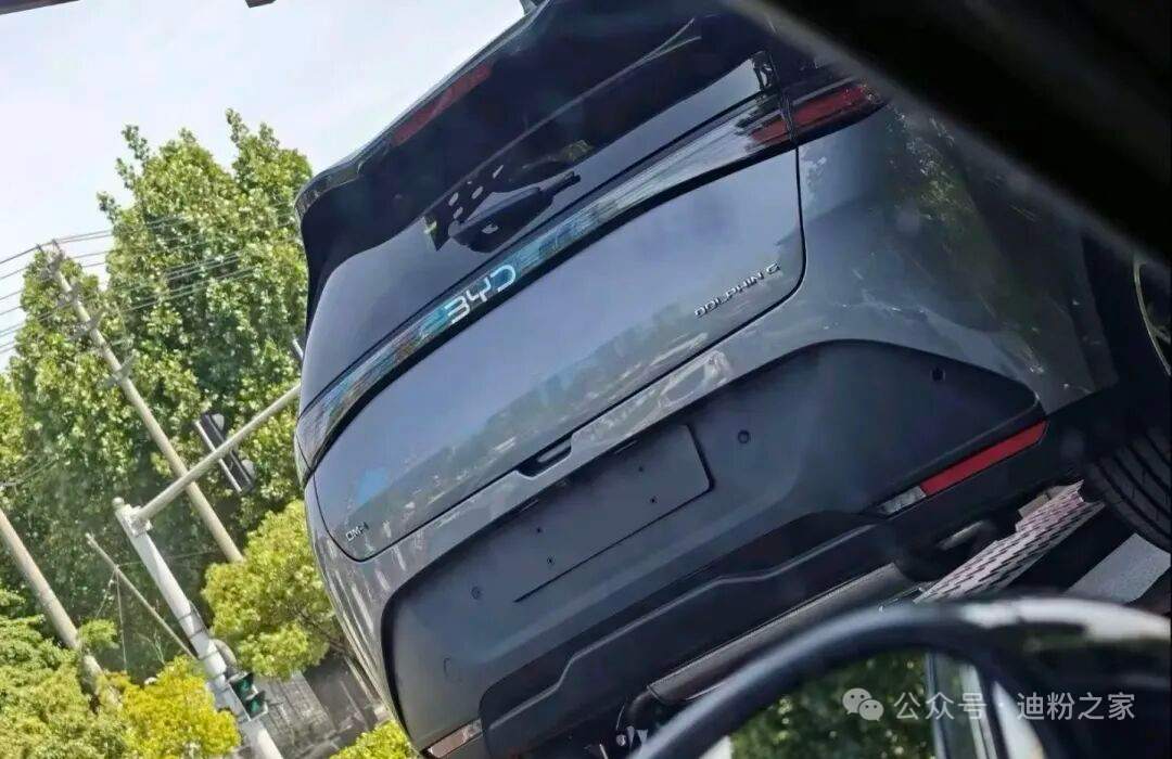 BYD Dolphin G Plug-In Hybrid Spy Shots Surface