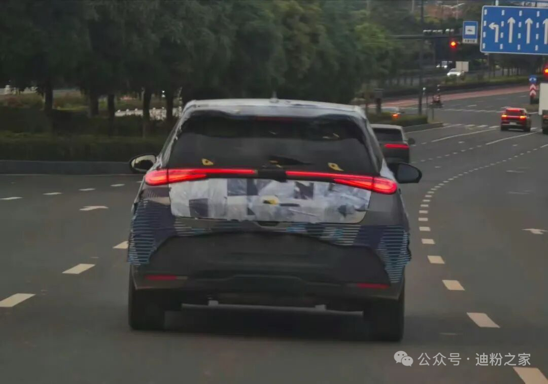 BYD Dolphin G Plug-In Hybrid Spy Shots Surface