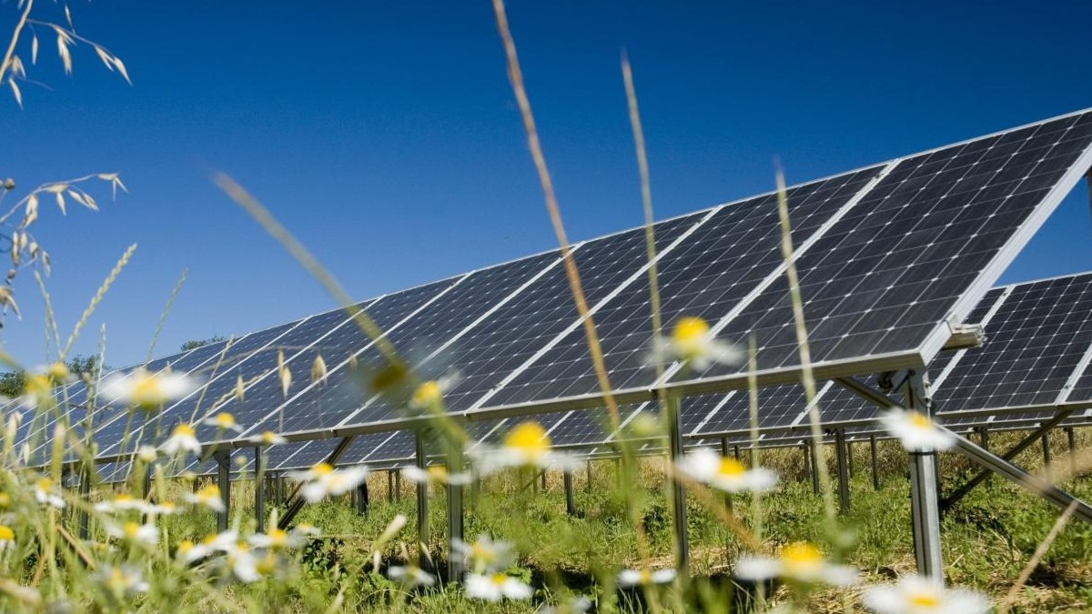The UK's largest solar farm just got the green light