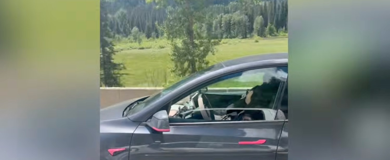 Tesla, Tesla driver caught asleep at 100 km/h — how monitoring failed