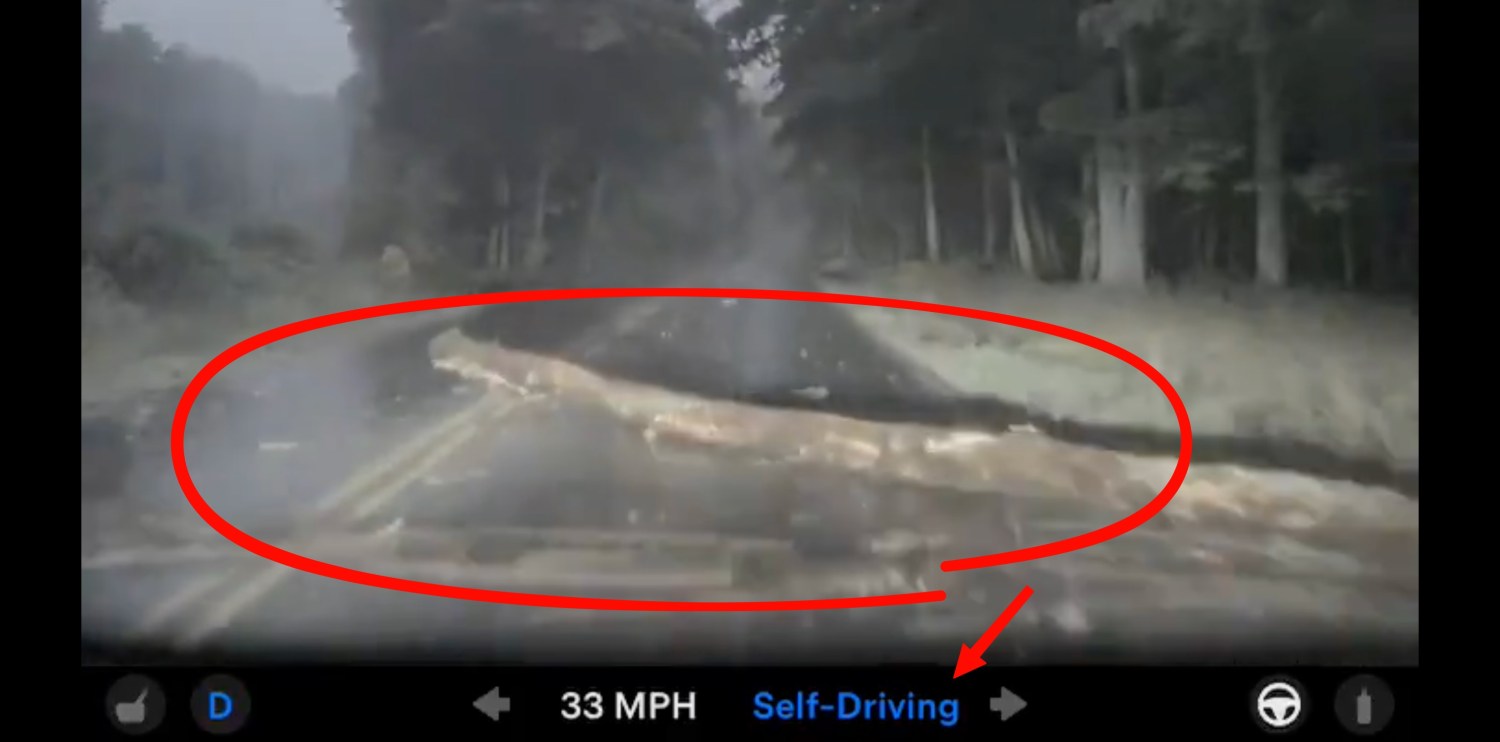 Tesla, Watch Tesla FSD v14 Lite drive over a giant log without stopping
