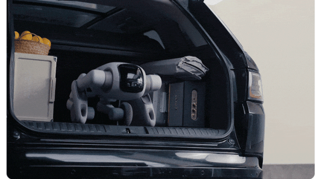 World's First Transformable Personal Humanoid Robot Officially Launched!