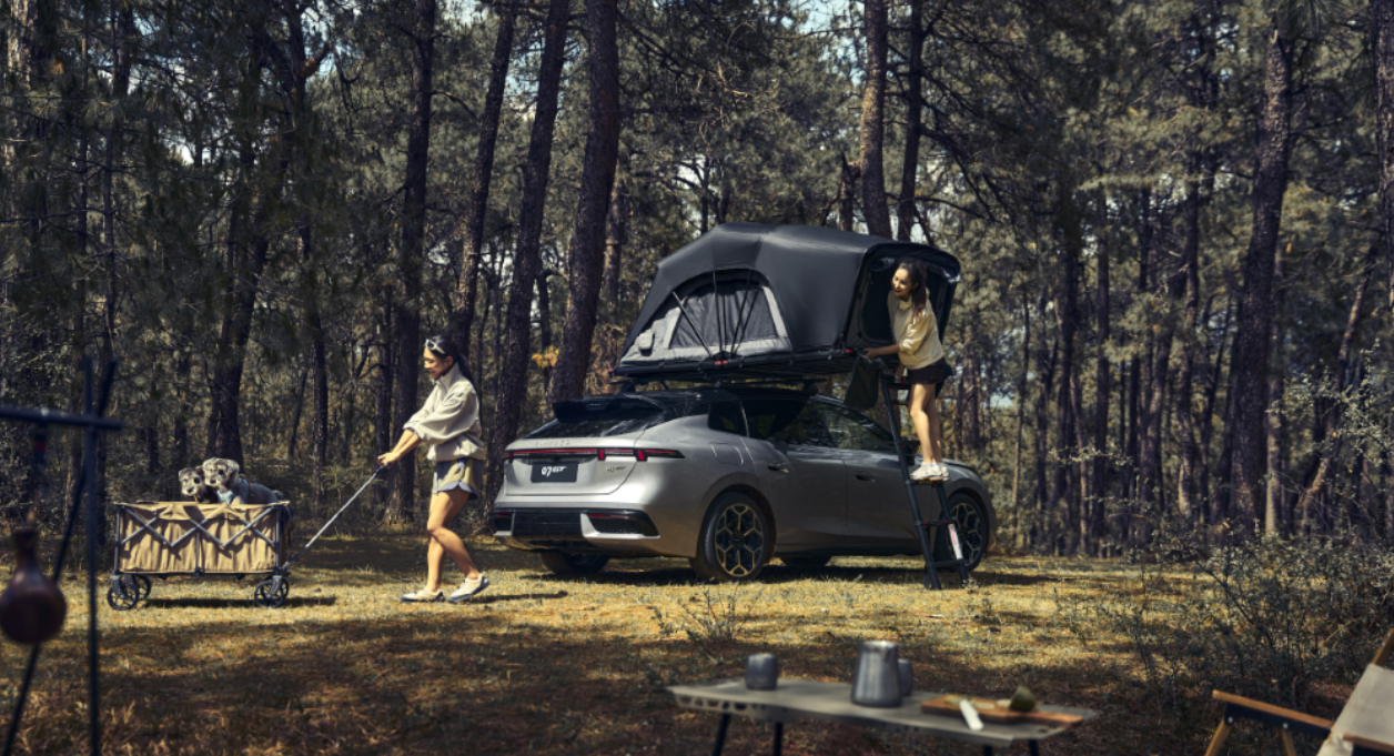 Wagon Segment, Another Disruptor?