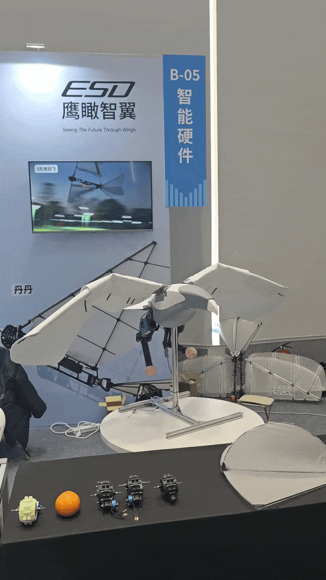 Seeds | Three Funding Rounds in Three Months: EagleSight Dynamic Sets Sights on Robotic Birds