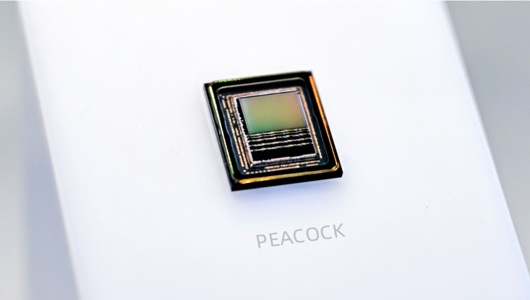 RoboSense's "Peacock" Begins Mass-Production Deployment