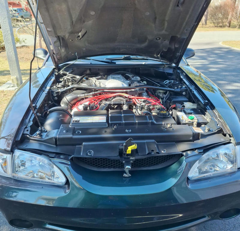 Color-Changing 'Mystic' 1996 Ford Mustang SVT Cobra Found on Bring a Trailer