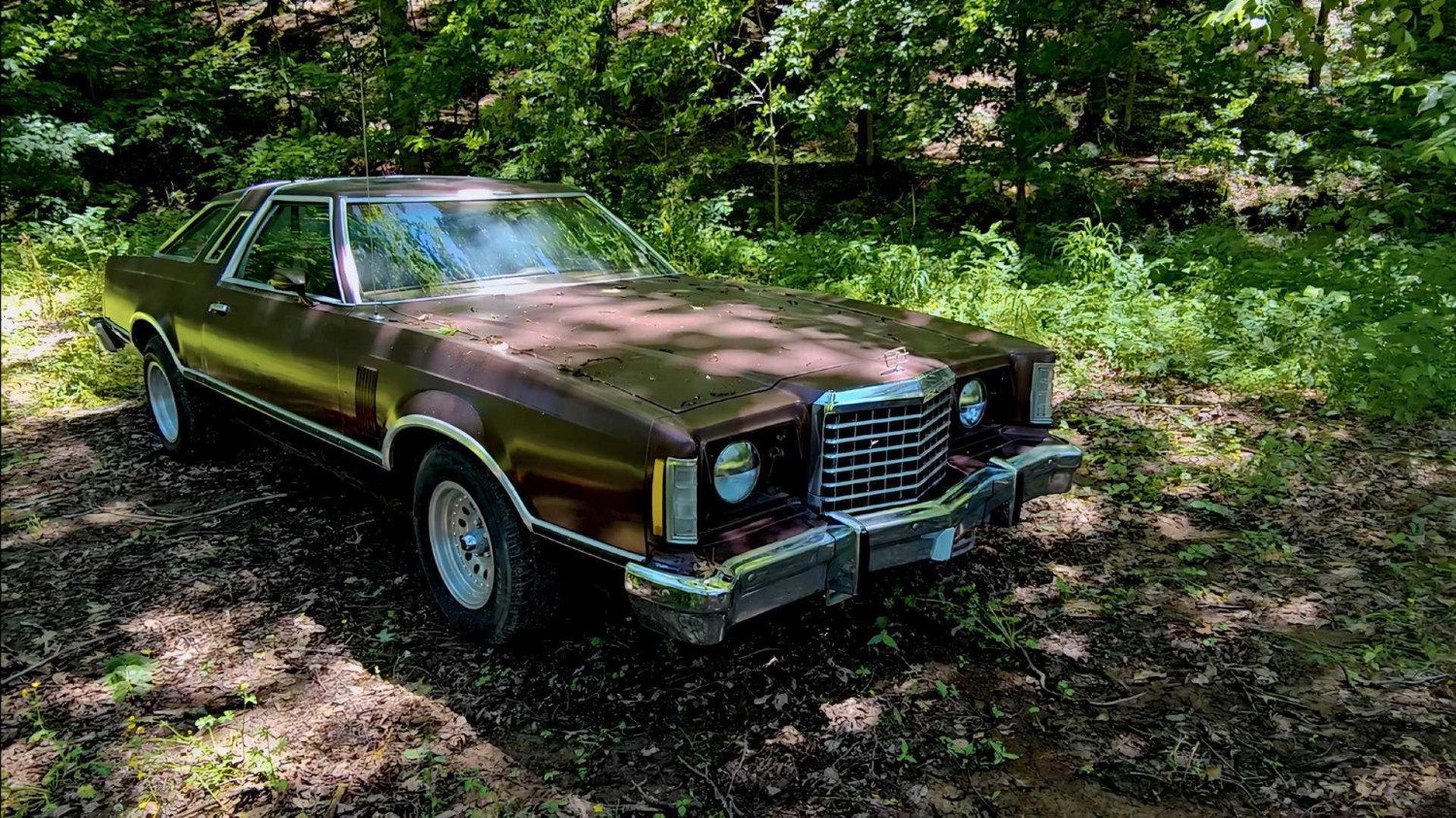 He Bought This V8 Ford Without Seeing It—Then Drove It 220 Miles Home